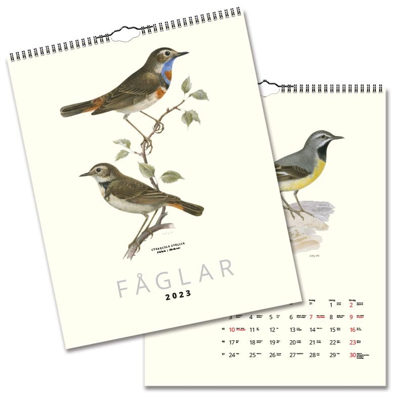 Väggkalender Fåglar 2023