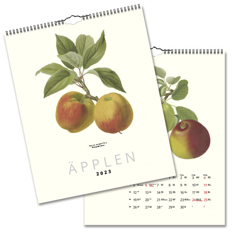 Väggkalender Äpplen 2023