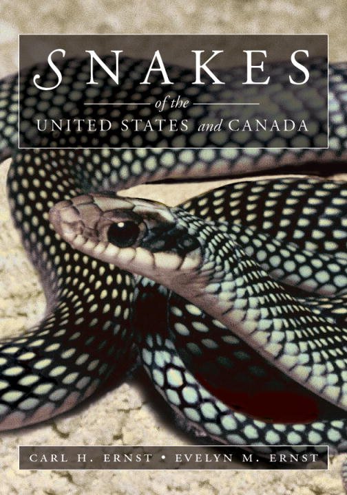 Snakes Of The United States And Canada