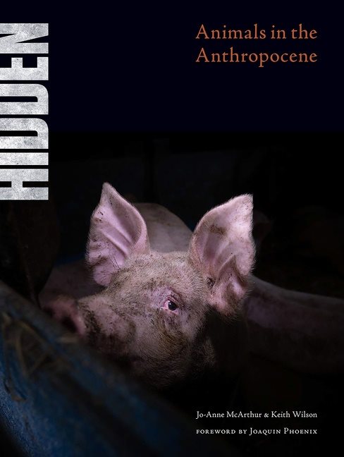 Hidden : Animals in the Anthropocene