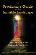 Psychonauts guide to the invisible landscape - the topography of the psyche