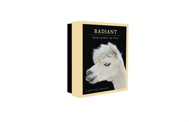 Radiant Notecards