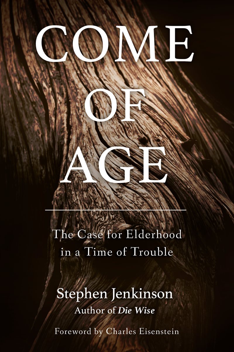 Come of age - the case for elderhood in a time of trouble
