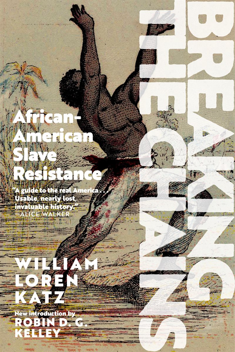 Breaking The Chains : African-American Slave Resistance
