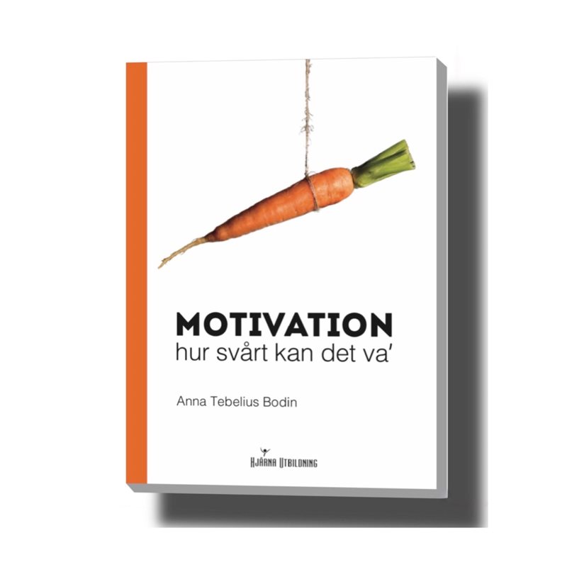 Motivation - hur svårt kan det va