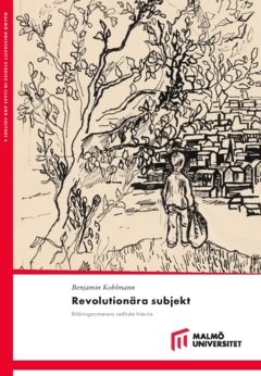 Revolutionära subjekt  : bildningsromanens radikala historia