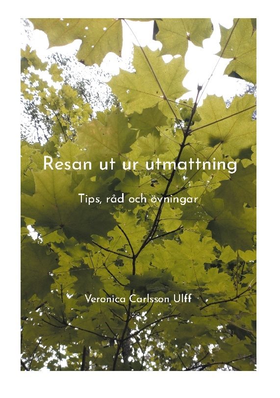 Resan ut ur utmattning : tips, råd och övningar