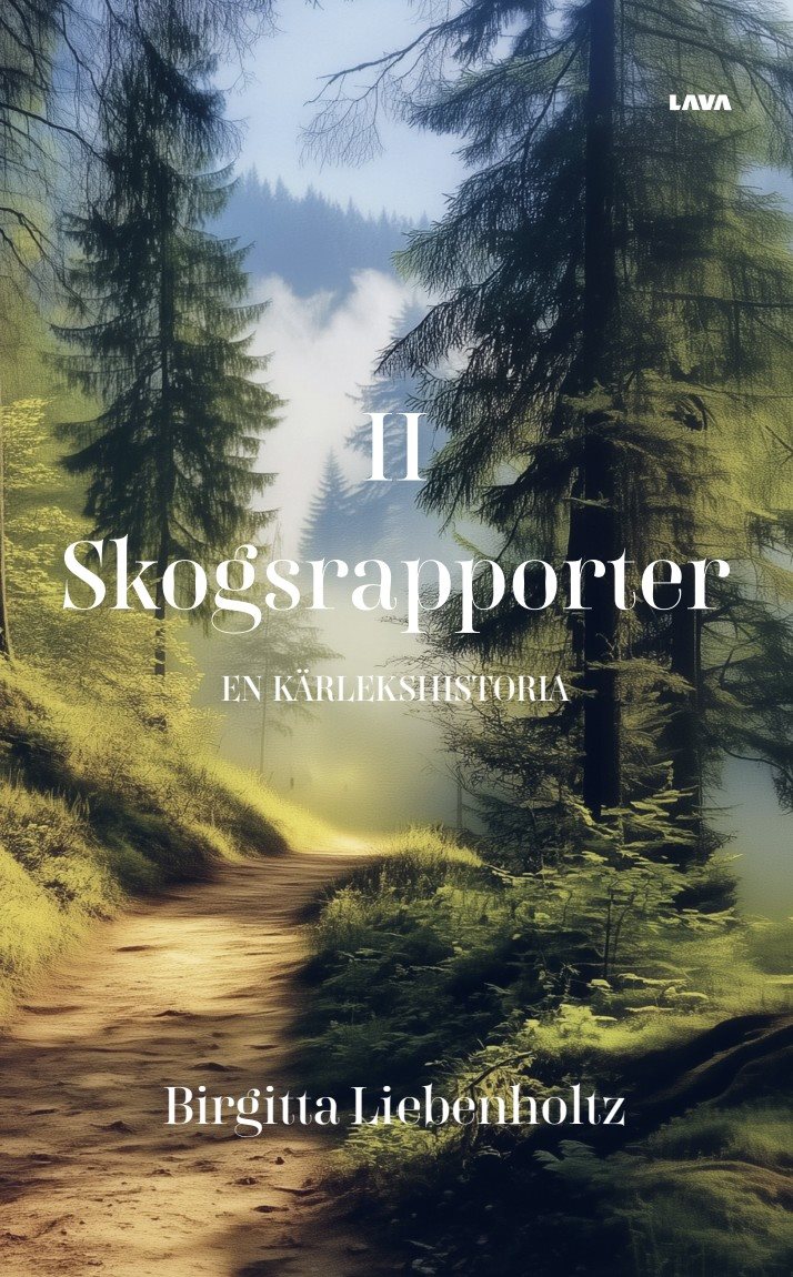 En kärlekshistoria