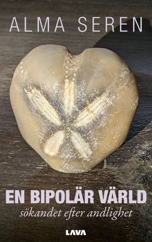 En bipolär värld - sökandet efter andlighet