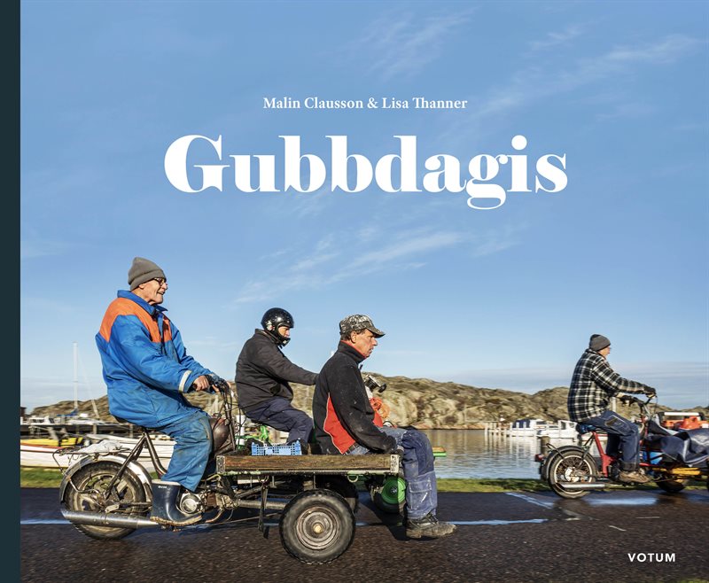 Gubbdagis