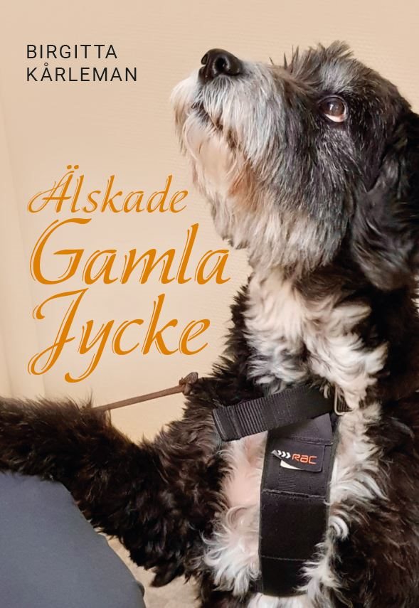 Älskade gamla jycke