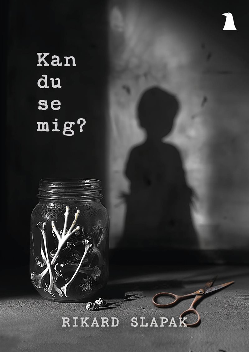 Kan du se mig?