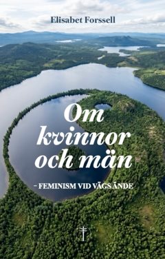 Om kvinnor och män : feminism vid vägs ände