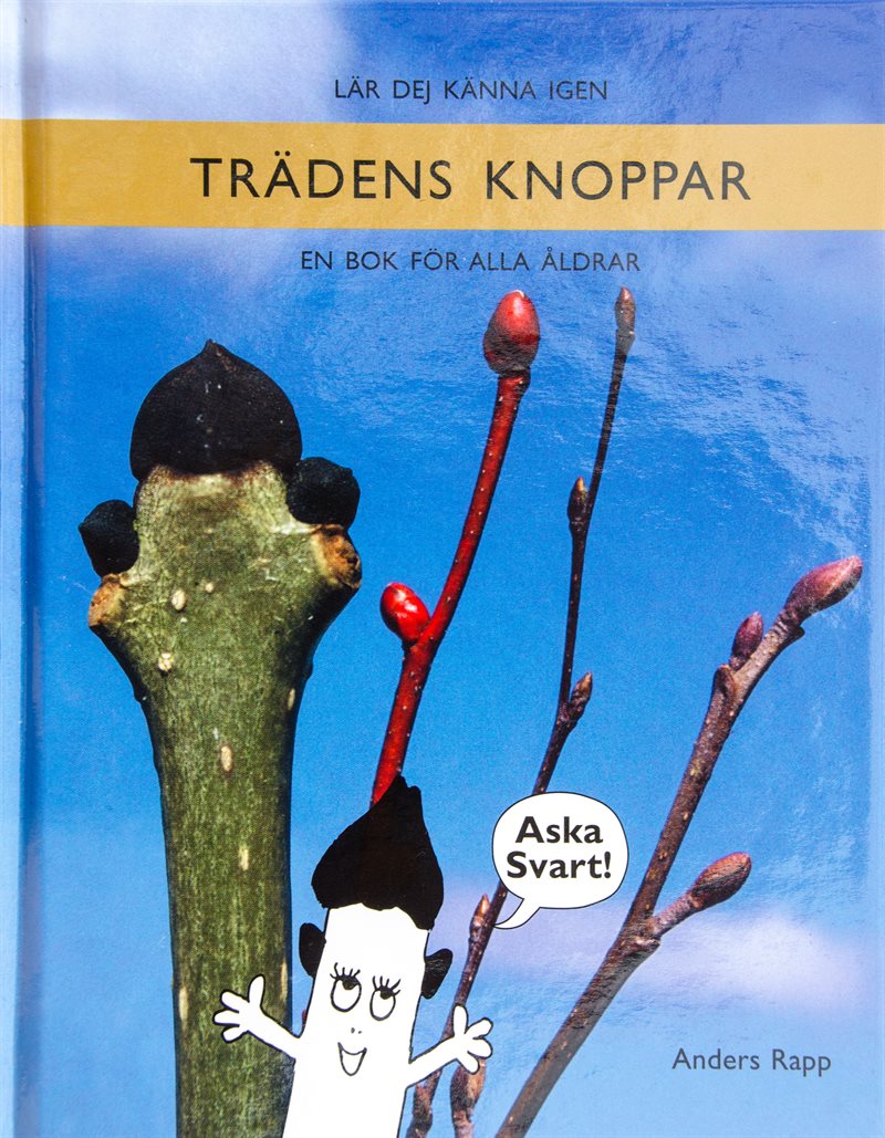 Lär dej känna igen trädens knoppar : en bok för alla åldrar