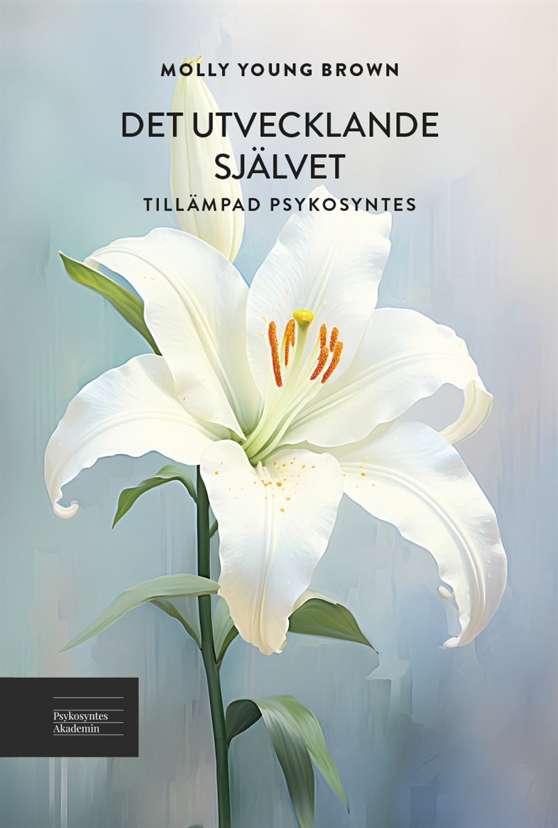 Det utvecklande självet - Tillämpad psykosyntes