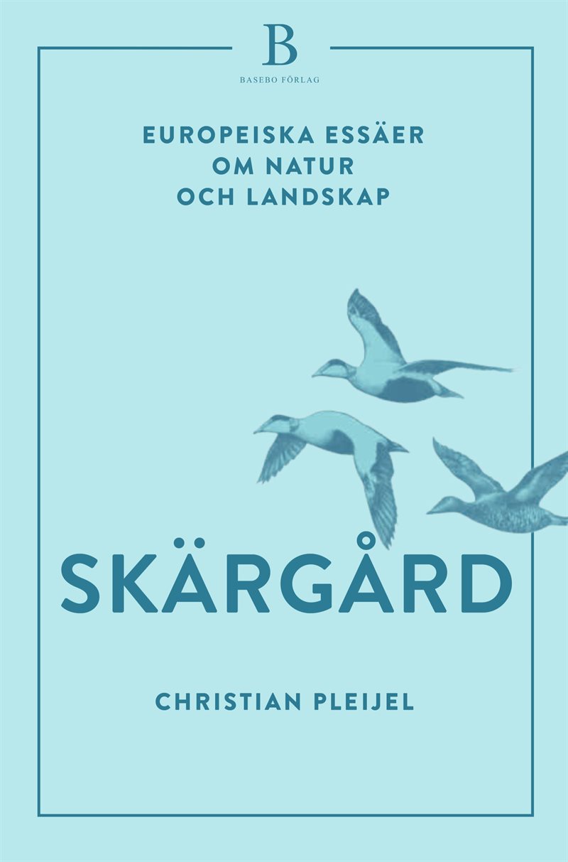 Skärgård