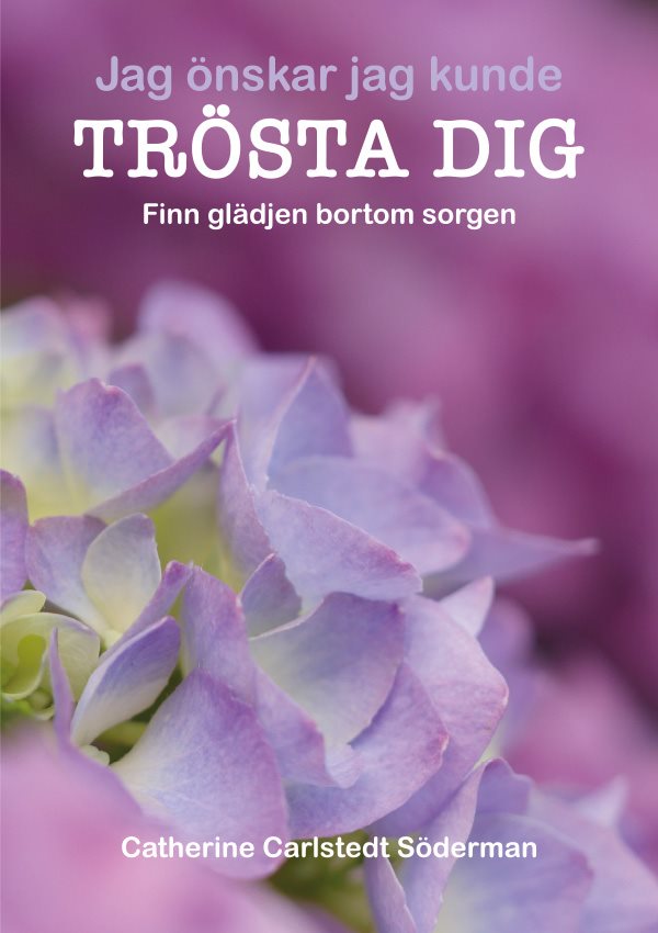 Jag önskar jag kunde trösta dig : finn glädjen bortom sorgen