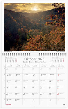 Väggkalender 2023 Vår vackra skog