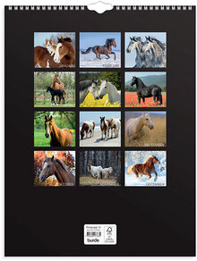 Väggkalender 2023 Stora Hästkalendern
