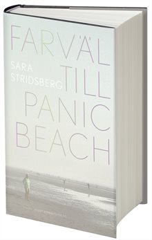 Farväl till Panic Beach : Roman Sara Stridsberg