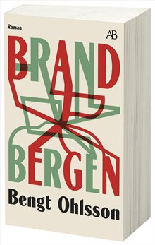 Brandbergen
