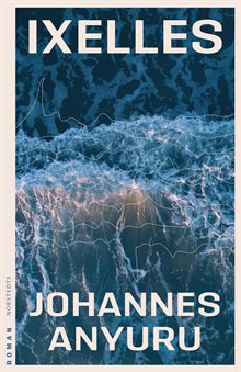 Ixelles : roman