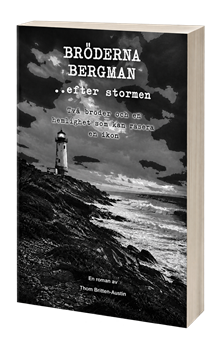 Bröderna Bergman